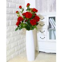 uploads/erp/collection/images/Home Garden/CongDing/XU0612502/img_b/XU0612502_img_b_1